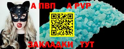 СК Тверь