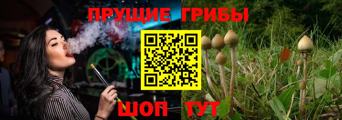 где продают   Псилоцибиновые грибы Magic Shrooms  Кудрово  Вход с VPN  Галлюциногенные грибы прущие грибы 